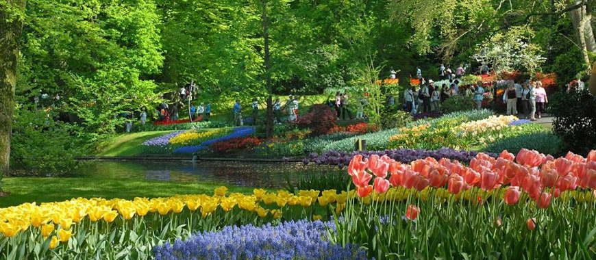 Kamini Enclave Construction Update